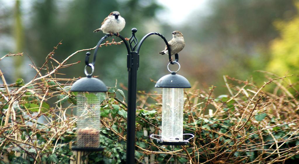 Eske Villa Bed And Breakfast Donegal Town ภายนอก รูปภาพ